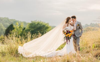 Exploring the Surroundings of Lilly Creek Wineries, Outlets, and More