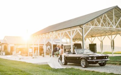 Guest Accommodations Near Lilly Creek Making Your Guests’ Stay Memorable